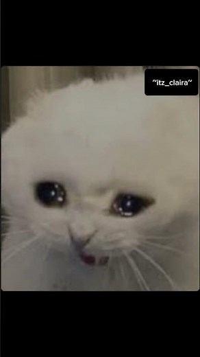 Meow meow meow MEOW ~ Barbie ~