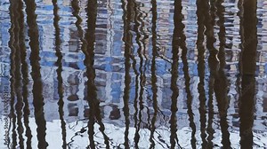the reflection of trees on the water, the surface of the water in the pool in park, sun reflection, leafs