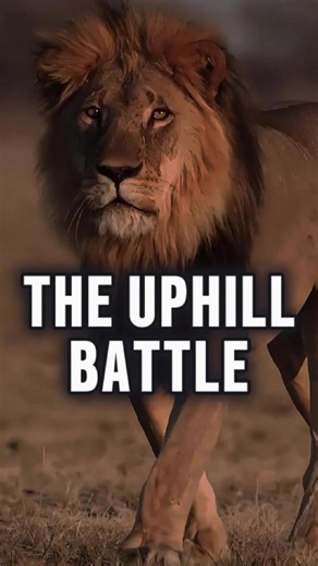 The uphill battle… #Motivation #WarriorMindset #RiseAndConquer #FaithOverFear #motivationalmessage
