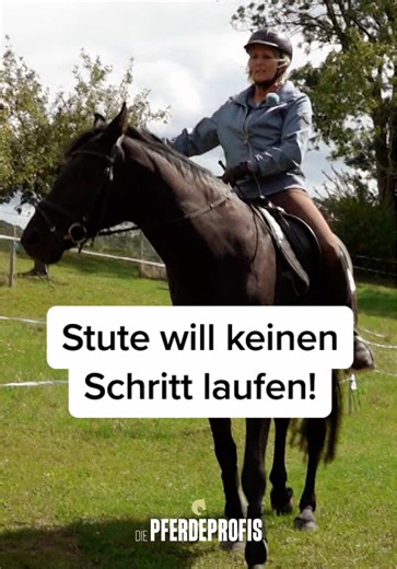 Hilfe für Falisha: Pferdeprofi Jenny im Einsatz