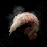 Boiled Prawn | Elden Ring Wiki