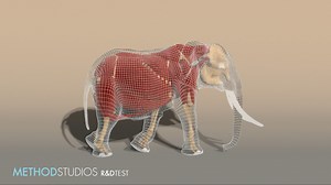 Elephant R&D Test