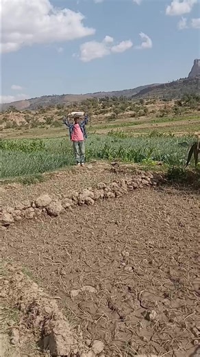 ሮቢ ሚኪ 💊 (@robel.gmichael4)’s videos with original sound - ሮቢ ሚኪ 💊