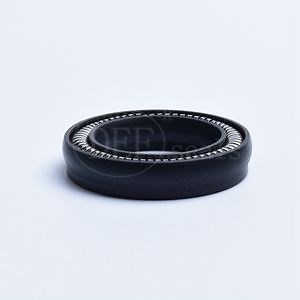 [Hot Item] PU Spring Energized Seal with Top Quality