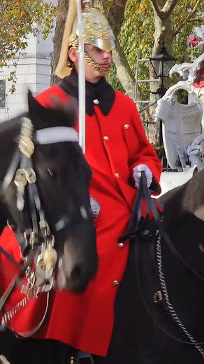 The King's Guards on their visit to the Lady Mayor's show | Household Cavalry