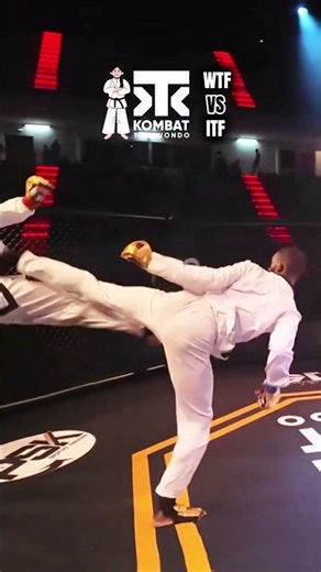WTF and ITF Taekwondo, Who are win? #taekwondo #tkd