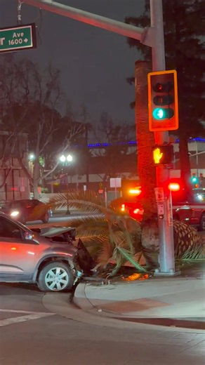 Car Snaps Tree in Half on Truxtun and Chester in Bakersfield CA 011/24 9:50pm | Dad’s Gone Live