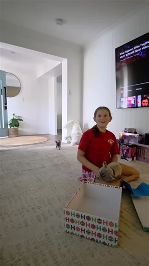 Barn House Co. on Instagram: "Oh my heart 💖🥺🥰😍🙏 How adorable! Moments like this make the sleepless nights worth every bit 😴🥰🥰🥰 Congratulations to Lunas beautiful Family thank you for sending this wonderful & Special video through #frenchie #frenchbulldog #frenchbulldogsofinstagram @barnhouseco.com.au @barnhouseco.frenchies @michelle.osmond"