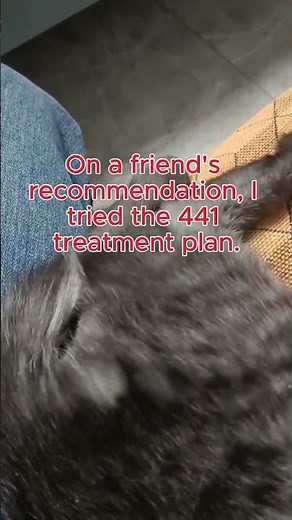 Dry FIP: from diagnosis to recovery—don’t give up, start treatment early! #cat #fip #gs441524