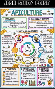 Tiny wings, massive impact. Apiculture explains the scientific rearing of honey bees for honey, wax, and pollination, while boosting crop yield and rural income. These study notes cover types of bees, bee colony organization, products of apiculture, and its economic importance, all arranged for quick understanding and exam-ready revision. Sweet biology with serious scoring power. 🌼🍯 #Apiculture #Beekeeping #HoneyBee #Pollination #AgriculturalBiology #BiologyStudyNotes #ZoologyNotes | Josh Stud