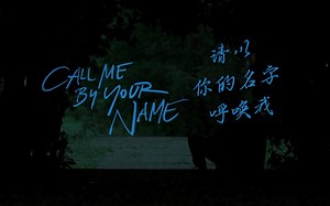 Call Me By Your Name Official Trailer HD (2017)