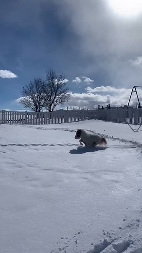 Springtime Fun with Baby Pony | Video Snap Challenge