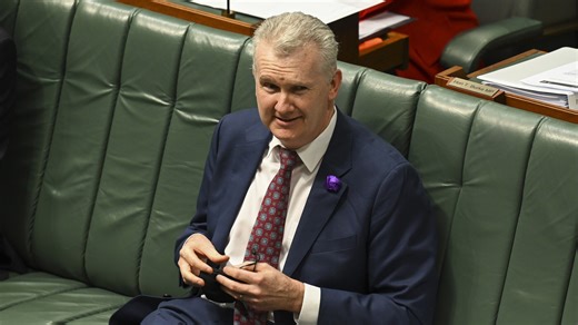 ‘Extraordinary revelations’ on Tony Burke’s ISIS bride cover-up
