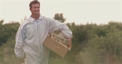 Beekeeper turns to politics to save bees, launches campaign for Texas Agriculture Commissioner