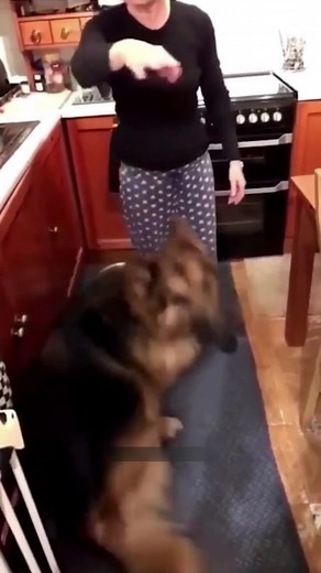 Best funny animals 😂🤣 #dogs #cats #animals #pets #cute #funnyanimals #funnyvideos #funnycompilation