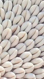 3.9K views · 19 reactions | Wherever the cowrie shells are found,...