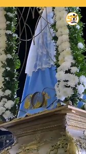 🙏 En un emotivo gesto de fe y devoción, peregrinos y feligreses se congregaron frente a la Basílica para rendir homenaje a María de Itatí en su día litúrgico. 👉 Se trató del segundo saludo del año a la Virgen que se concretó en vísperas de este 9 de julio. Contó con la presencia de la imagen peregrina de María de Itatí, portada por sus custodios, acompañada por el rector del Santuario, padre Porfirio Ramírez, el padre Rodrigo Revinski y el padre Feliciano de los Mozos. 👏 Fue saludada con apla