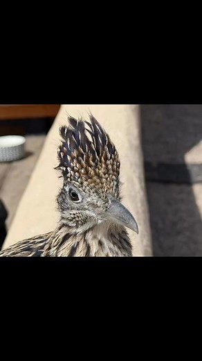 1.3K views · 129 reactions | #dreznerstudios Jonathan Drezner Photography @topfans | DREZNERStudios | Facebook