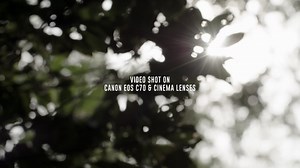 1.3K views · 18 reactions | We often miss the beauty that lies around...