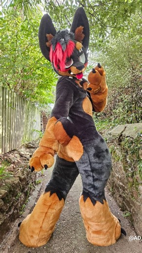 Fursuit Maker ➡️ Furvana on Instagram: "🚨⛓️Chain the Doberman ⛓️🚨 A certain sassy dog just got an upgrade!! This slim bodysuit was such an fun challenge with a lot of firsts! Thank you so much for such an awesome project! She turned out SO gorgeous The body features: - Slim style legs - An attached tail - Cotton cuffed sleeves - Zip-on feetpaws - Small breast padding - Attached padding - Hidden side zipper #fursuitcommission #slimdigi #fursuitmaking #caninefursuit #kemoony #digitigradefursuit 