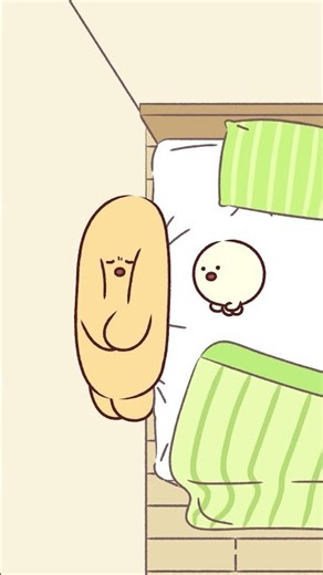 우리가 함께 잠에 들 때...😴💤 When We Fall Asleep Together...😴💤 #animation #character #cute #cartoon #funny