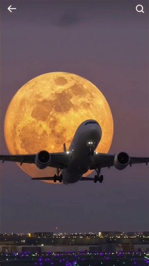 tour the world #aviation