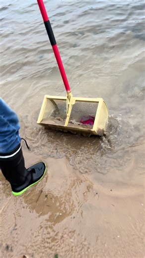 Nettoyage de plage avec une pelle à déchets