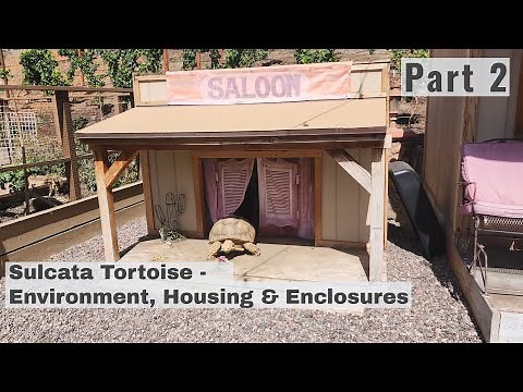 Sulcata Tortoise Part 2 - Environment, Housing & Enclosures, Fencing
