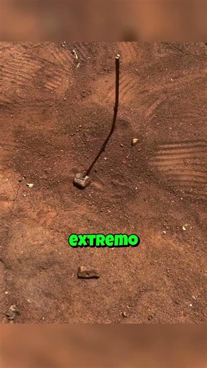 Descubre fácilmente dónde está el norte 😮