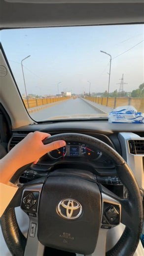 Exploring the Markhor: Afghanistan's Unique Wildlife