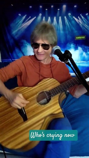 Steve Perry cover unplugged Solo performance who's crying now