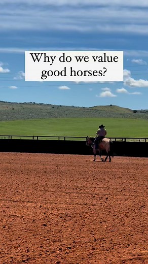 1.3K views · 24 reactions | Horses are our partners! They make our jobs easier. When working with good horses, we’re able to accomplish tasks more efficiently and quietly, which keeps stress off our livestock. Another way we put beef quality first. #cowboys #cowboyup #westernlifestyle #wyoming #ranchlife #meatlover #beef | Lazy T Ranch | Facebook