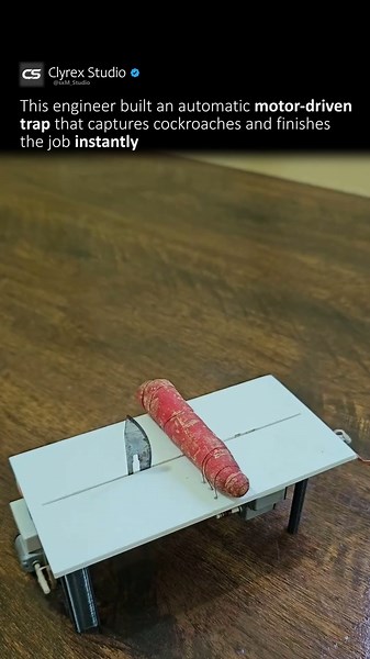 This Trap Works… Too Well