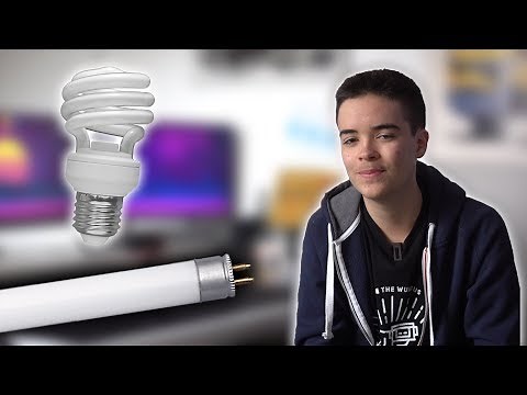 How do fluorescent tubes (neon lights) work?
