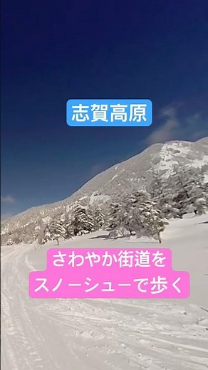 【横手山登山】志賀高原・さわやか街道を歩く（ショート）