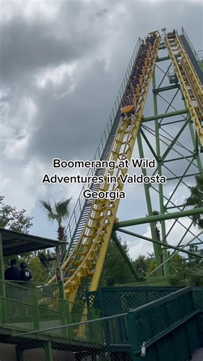 Roller Coaster Screaming Girl's Hilarious Ride Experience