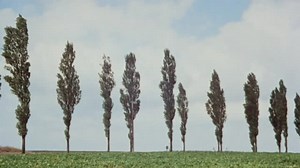 And Soon The Darkness 1970 : Free Download, Borrow, and Streaming : Internet Archive