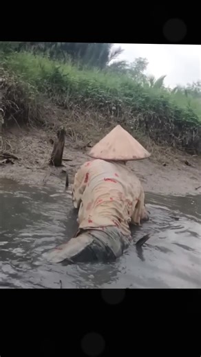 Beautiful Girl Fishing: A Captivating Experience