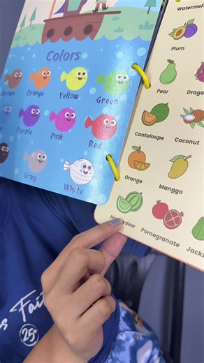 Ultimate 20 in 1 Learning Book for Kids