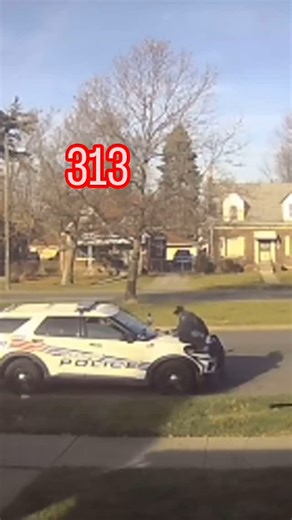 Detroit Gossip on Instagram: "Look what somebody’s ring camera captured! That’s right, one of DPD’s finest is scared of an itty bitty dog. And this is who is supposed to protect us! #detroit #detroitgossip #podcast #youtube #drama #information #youtubestreets #detroitpolice #poodle #scary"