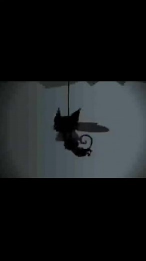 Neo Rosa Animação Direita ou Esquerda Hype Gato - Aniboom