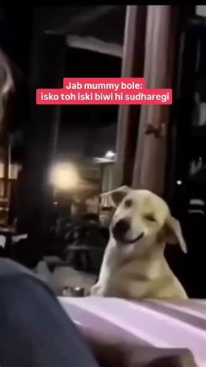 Mummy bhi na yaar 🤭🤭 #FCReels | FilterCopy