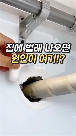 집에서 벌레가 나온다면? 원인은 여기!
