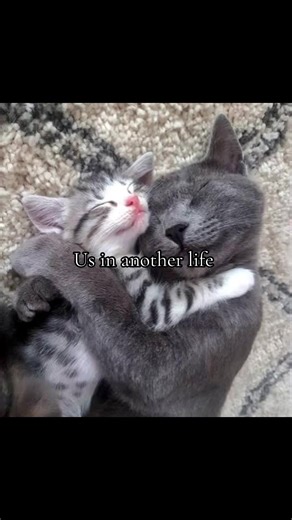 in another life maybe we met at the right time maybe we didn’t have to lose each other to learn maybe loving you was easy and we never had to be strong but even in this life… i’d still find you . . . #anotherlife #us #soulconnection #fated #meanttobe