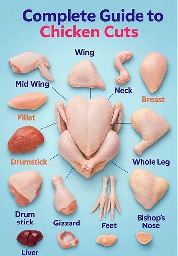 🍗 The Complete Guide to Chicken Cuts — Know What You’re Eating!#ChickenCutsGuide #CookingTips