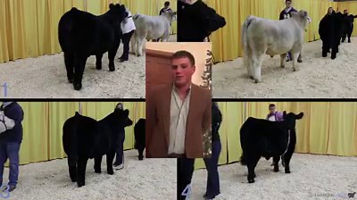 Want to see how a collegiate national champion talks sets? We will be posting several classes from the 2018 National 4H Judging Contest with reasons by 2018 Collegiate National Champion P.D. Miller over the new few weeks. This set is from the National 4H Judging Contest and includes the NAILE Grand Champion steer. | Livestockjudging.com