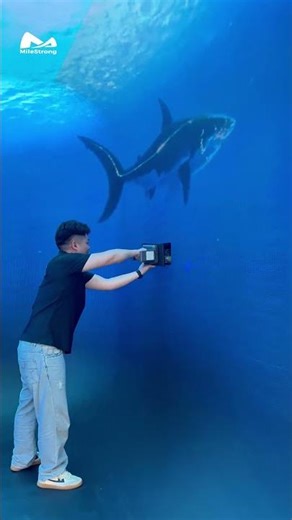 Immersive LED Video Wall#MileStrong #ledscreen #leddisplay #ledwalldisplay #immersiveled