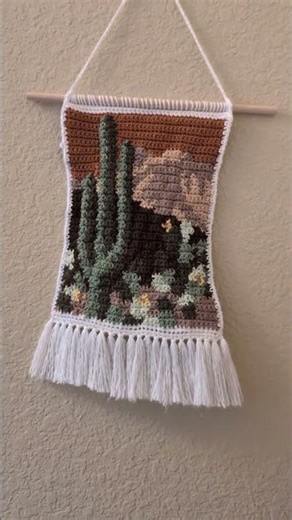 Check Out The Newest Addition to My Bathroom Decor! #TapestryCrochet