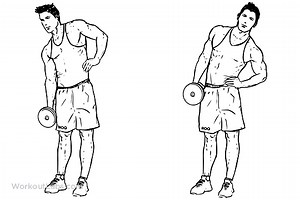 Dumbbell Side Bend