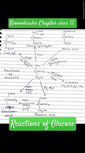 Reactions of glucose Biomolecules chapter class 12